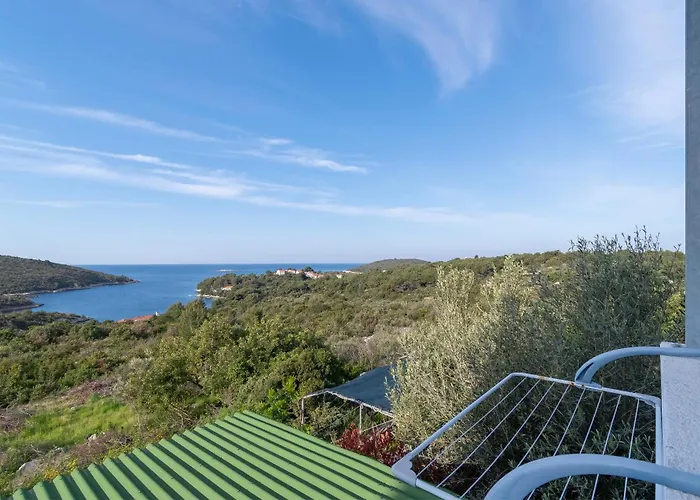 Διαμέρισμα Toni Maslinica